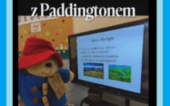 paddi