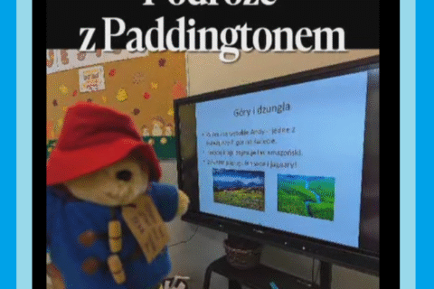 paddi